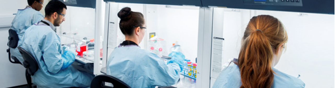Biosafety Lab Image