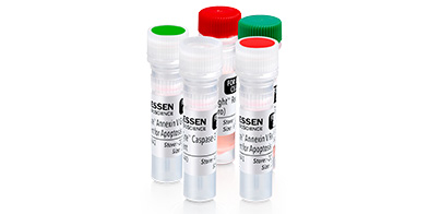 reagent