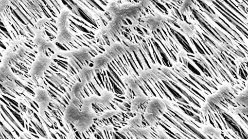 lt-membranes-0599