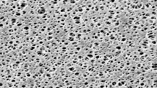 lt-membranes-0601