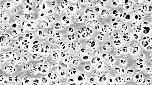 lt-membranes-0602