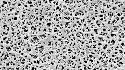 lt-membranes-0605