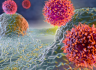 [White Paper] The Evolution of Immune Cell Killing Assays Using Live-Cell Analysis