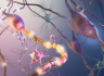 [White Paper] Live-Cell Analysis for Neuroscientists