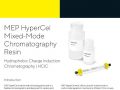 [데이터시트] MEP HyperCel Mixed-Mode Chromatography Resin