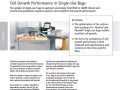 [White Paper] Cell Growth Performance in Single-Use Bags