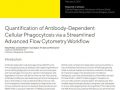 Quantification of Antibody-Dependent Cellular Phagocytosis via a Streamlined Advanced Flow Cytometry Workflow