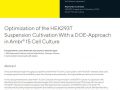 Optimization of the HEK293T Suspension Cultivation With a DOE-Approach in Ambr® 15 Cell Culture