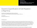Dynamic Quantification of Cell Migration in Real Time