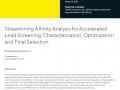Streamlining Affinity Analysis for Accelerated Lead Screening, Characterization, Optimization and Final Selection